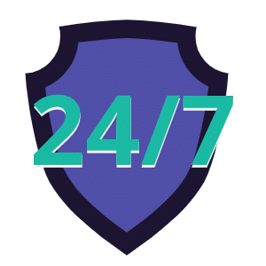 24-7 borderless security